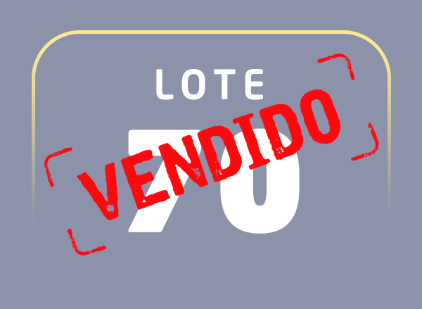 Lote 70