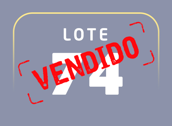Lote 74