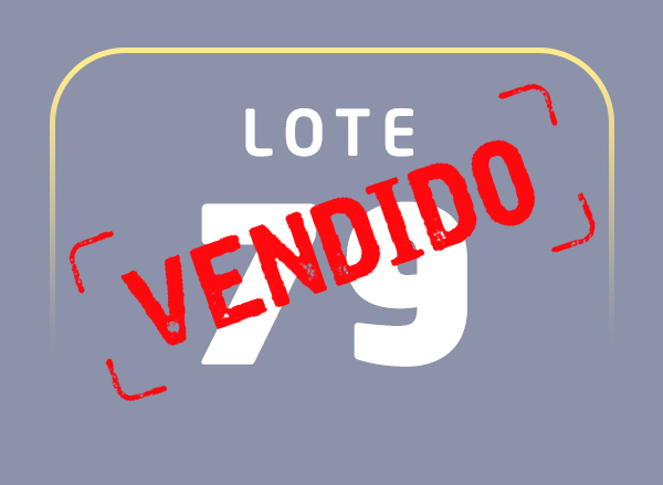 Lote 79