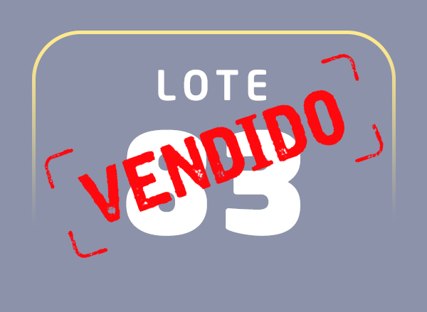 Lote 83