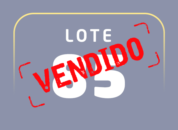 Lote 85