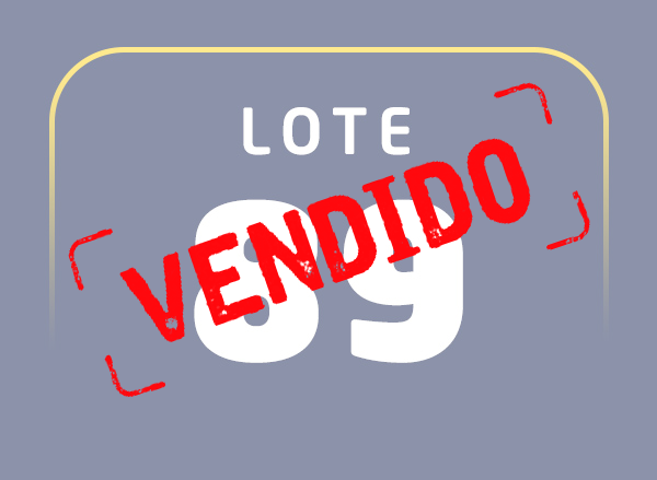 Lote 89