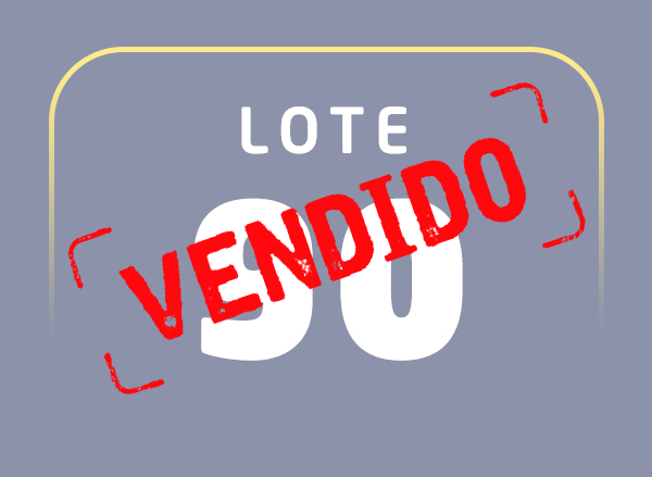 Lote 90