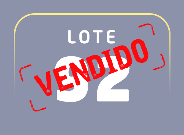 Lote 92