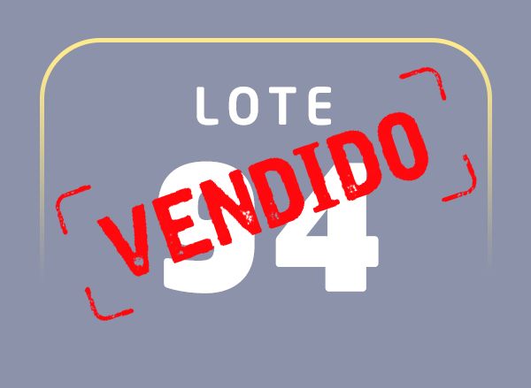 Lote 94