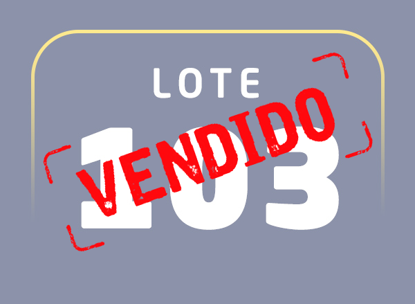 Lote 103