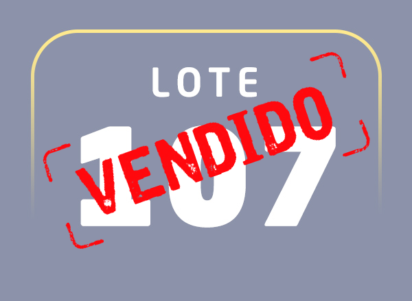 Lote 107