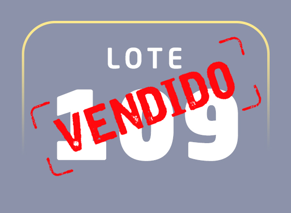 Lote 109