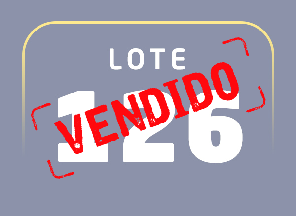Lote 126
