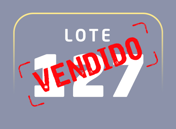 Lote 127