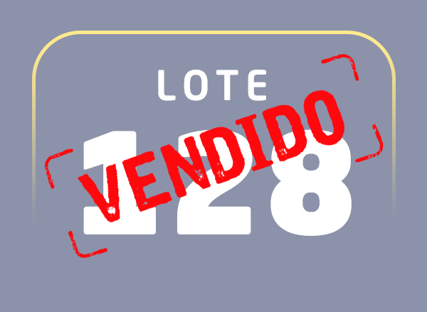 Lote 128