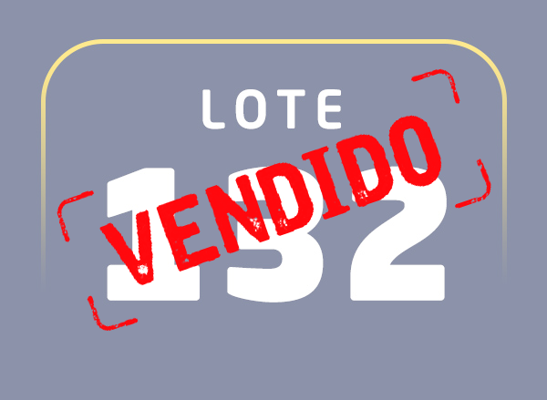 Lote 132