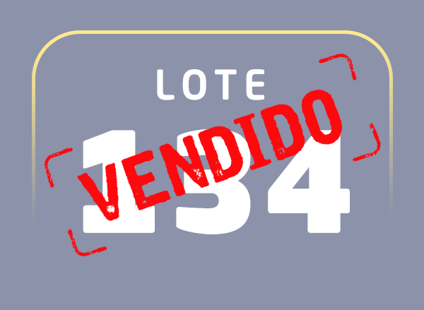 Lote 134
