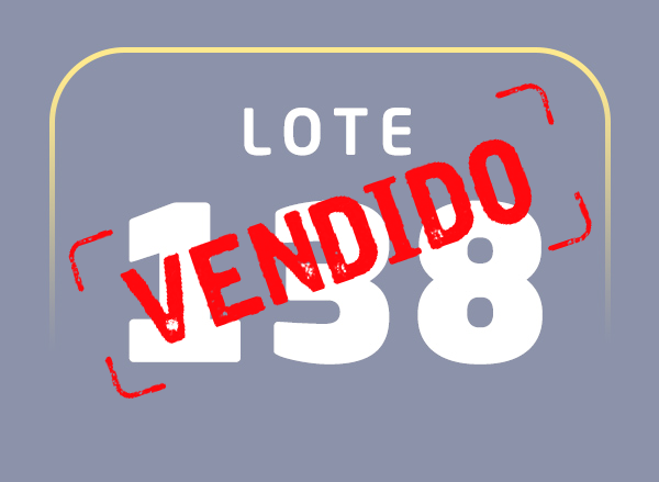 Lote 138