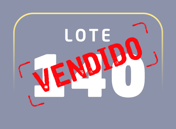 Lote 140