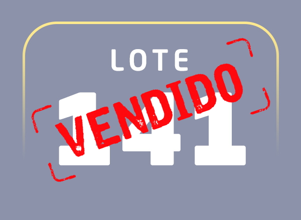 Lote 141
