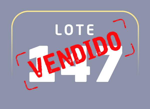 Lote 147
