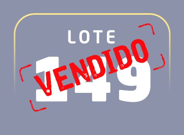 Lote 149