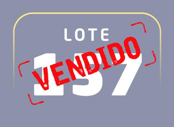 Lote 157