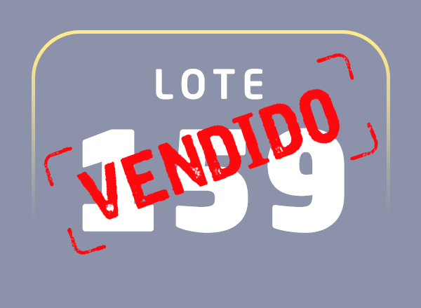 Lote 159