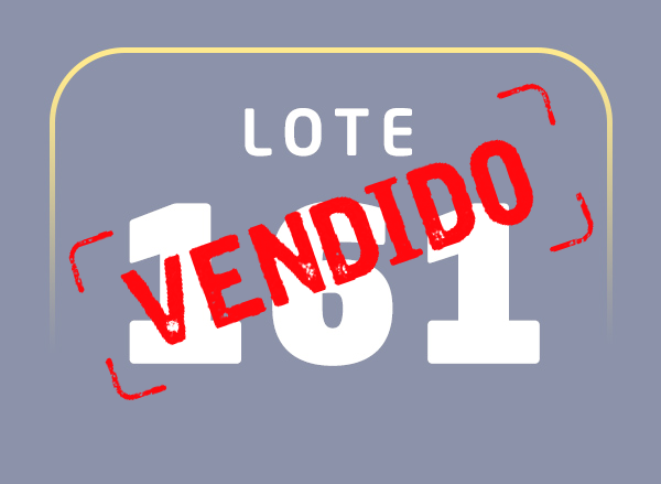 Lote 161