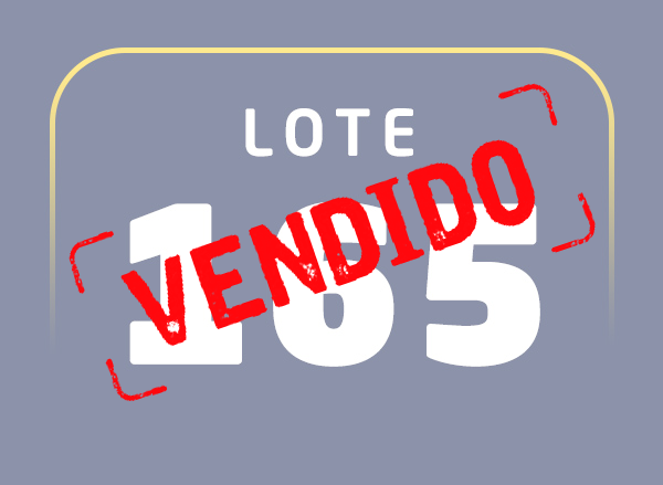 Lote 165