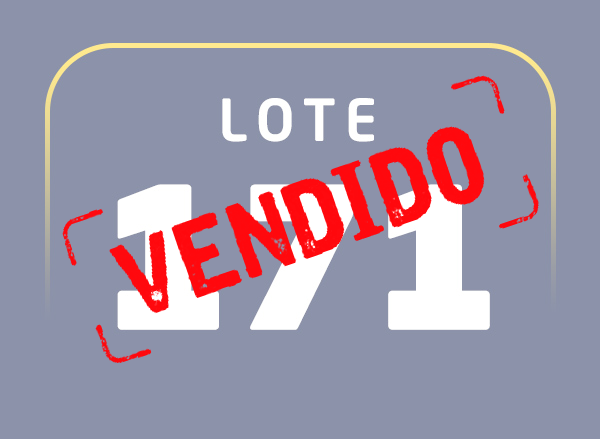 Lote 171
