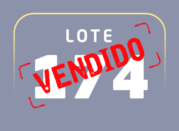 Lote 174