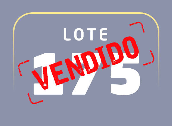 Lote 175