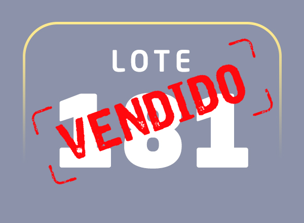 Lote 181