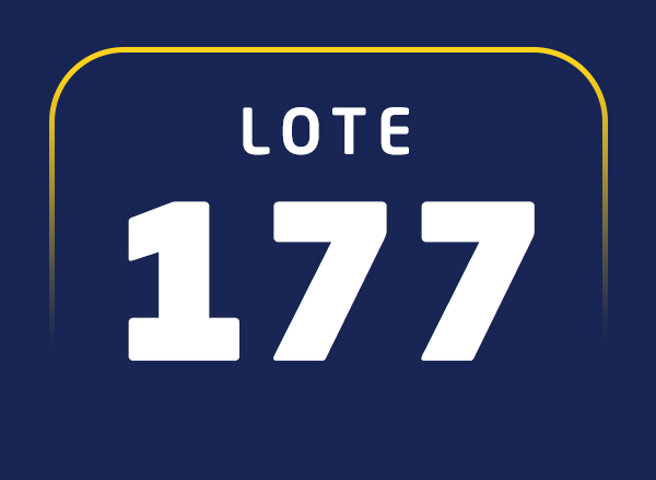 Lote 177