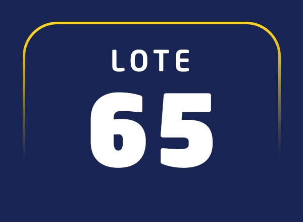 Lote 65