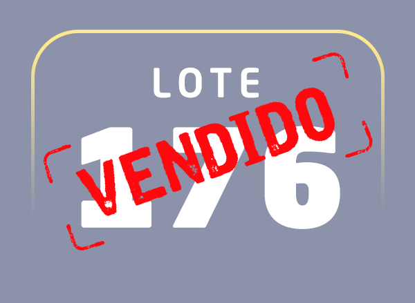 Lote 176