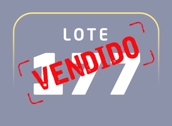 Lote 177